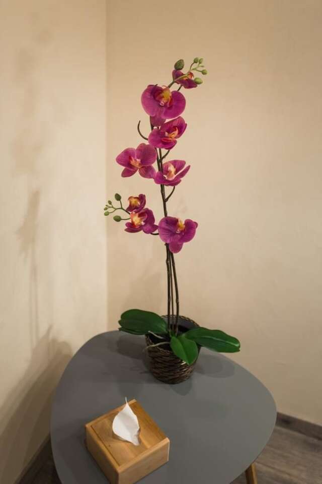 Апартаменты Апартаменты Малон Одесса-8